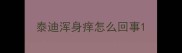 泰迪浑身痒怎么回事