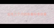 金毛三个月的体重标准体重