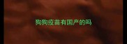 狗狗疫苗有国产的吗