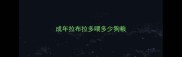 成年拉布拉多喂多少狗粮
