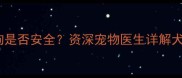 哈密瓜对狗狗是否安全资深宠物医生详解犬类食用指南