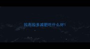 拉布拉多减肥吃什么好