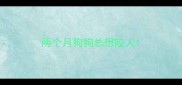 两个月狗狗总想咬人