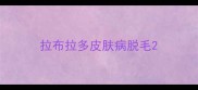 拉布拉多皮肤病脱毛