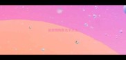 给宠物狗取名字大全