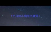 1个月的小狗怎么喂养