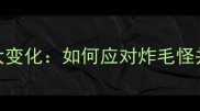 边牧换毛期毛发大变化如何应对炸毛怪并保持颜值巅峰
