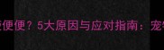 狗狗拉粘液便便5大原因与应对指南宠物主人必看