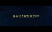 金毛幼犬被打会怎样