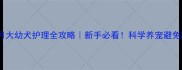 2个月大幼犬护理全攻略新手必看科学养宠避免踩坑