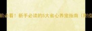 拉布拉多幼犬养前必看新手必读的5大省心养宠指南附疫苗训练全攻略