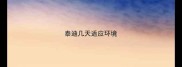 泰迪几天适应环境