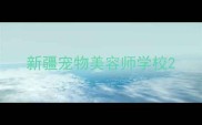 新疆宠物美容师学校