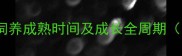 红肚凤凰人工饲养成熟时间及成长全周期附饲养要点