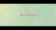 老鼠一个月能长多大