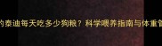 一斤的泰迪每天吃多少狗粮科学喂养指南与体重管理全