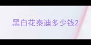 黑白花泰迪多少钱