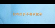 拉布拉多不喜欢被亲