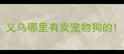 义乌哪里有卖宠物狗的