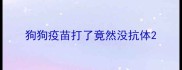 狗狗疫苗打了竟然没抗体
