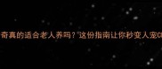 哈士奇真的适合老人养吗这份指南让你秒变人宠CP