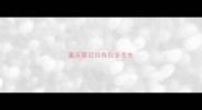 重庆最近拉布拉多丢失