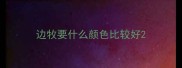 边牧要什么颜色比较好