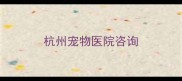 杭州宠物医院咨询