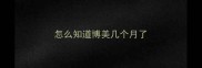 怎么知道博美几个月了