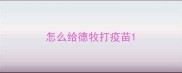怎么给德牧打疫苗