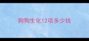 狗狗生化12项多少钱