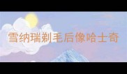 雪纳瑞剃毛后像哈士奇