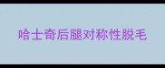 哈士奇后腿对称性脱毛