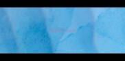 小狗拉稀打什么针