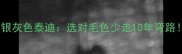 灰色泰迪VS银灰色泰迪选对毛色少走10年弯路附选购指南