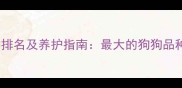 全球十大巨型犬种排名及养护指南最大的狗狗品种特征与饲养要点