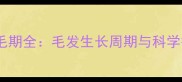 泰迪犬换毛期全毛发生长周期与科学护理指南