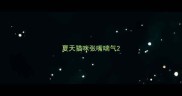 夏天猫咪张嘴喘气