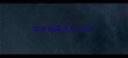 棕色和黑色哈士奇