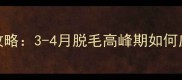 拉布拉多换毛季全攻略3-4月脱毛高峰期如何应对附护理干货