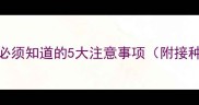 狗狗接种疫苗后必须知道的5大注意事项附接种后护理全流程