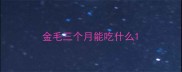 金毛三个月能吃什么
