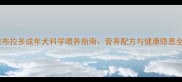 拉布拉多成年犬科学喂养指南营养配方与健康隐患全