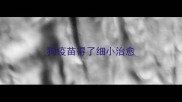 狗疫苗得了细小治愈