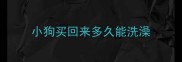 小狗买回来多久能洗澡