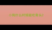 小狗什么时候能吃骨头