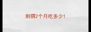 刺猬2个月吃多少