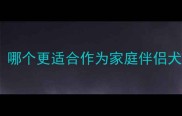 阿拉普提犬vs哈士奇对比哪个更适合作为家庭伴侣犬附饲养指南与选购建议