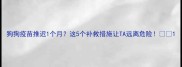 狗狗疫苗推迟1个月这5个补救措施让TA远离危险