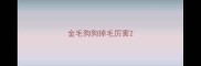 金毛狗狗掉毛厉害